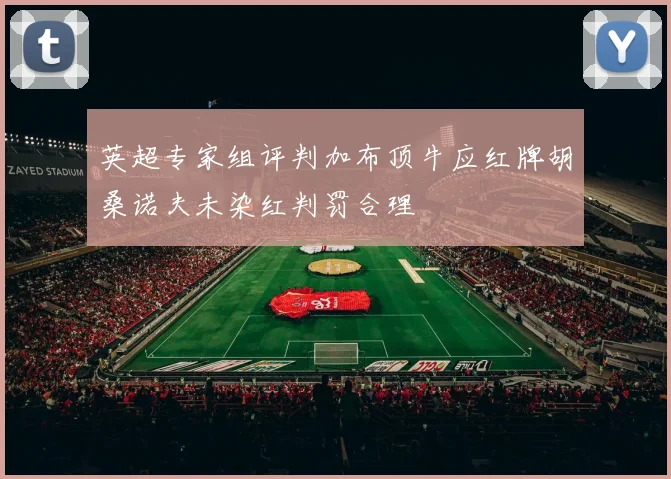 英超专家组评判加布顶牛应红牌胡桑诺夫未染红判罚合理