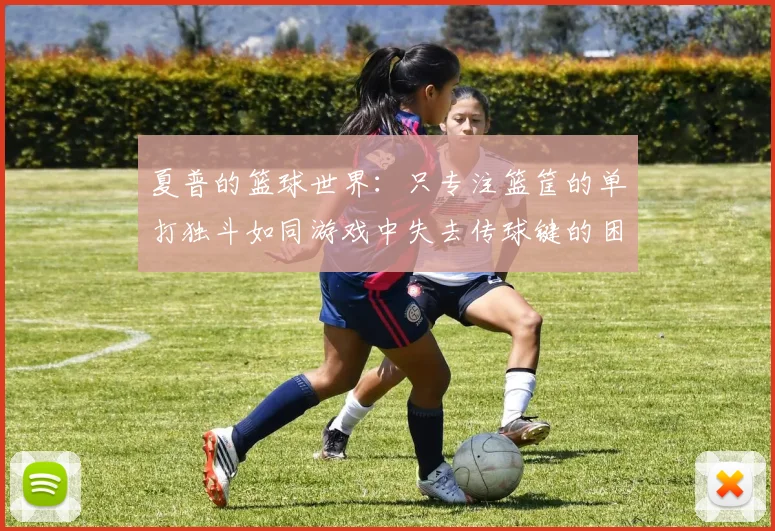夏普的篮球世界：只专注篮筐的单打独斗如同游戏中失去传球键的困境